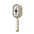 Electric Steam Hair Brush with Water Spray – USB-C Rechargeable Detangling & Anti-Frizz Brush