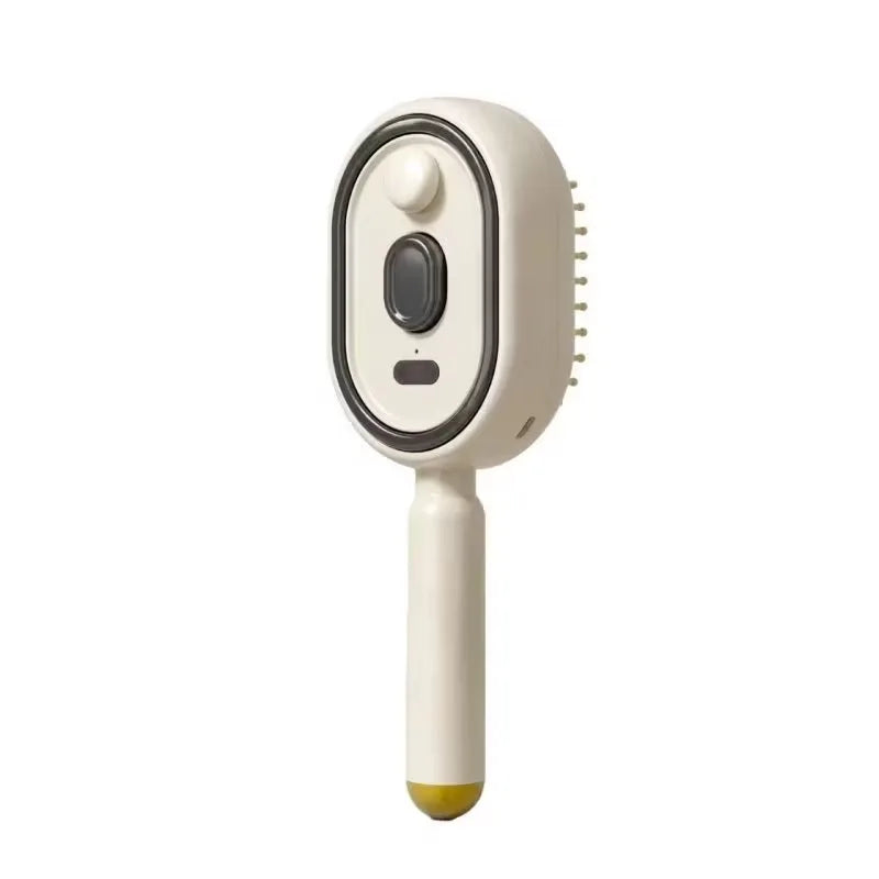 Electric Steam Hair Brush with Water Spray – USB-C Rechargeable Detangling & Anti-Frizz Brush